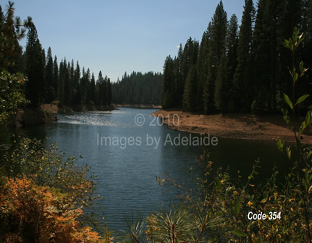 Lyons Lake